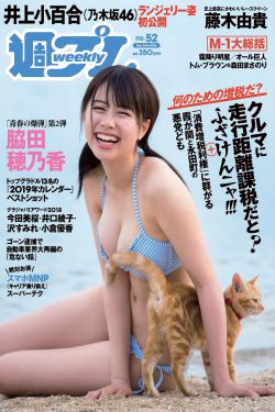 兔子先生高清免费观看全集