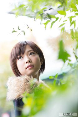 荒岛公媳实验